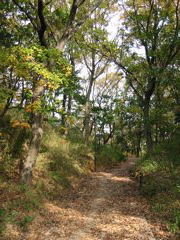 i 075