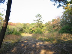 i 036