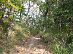 i 076