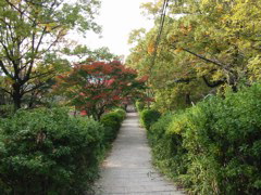 i 080