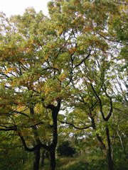 i 083
