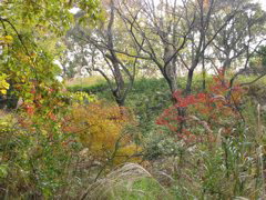 i 084