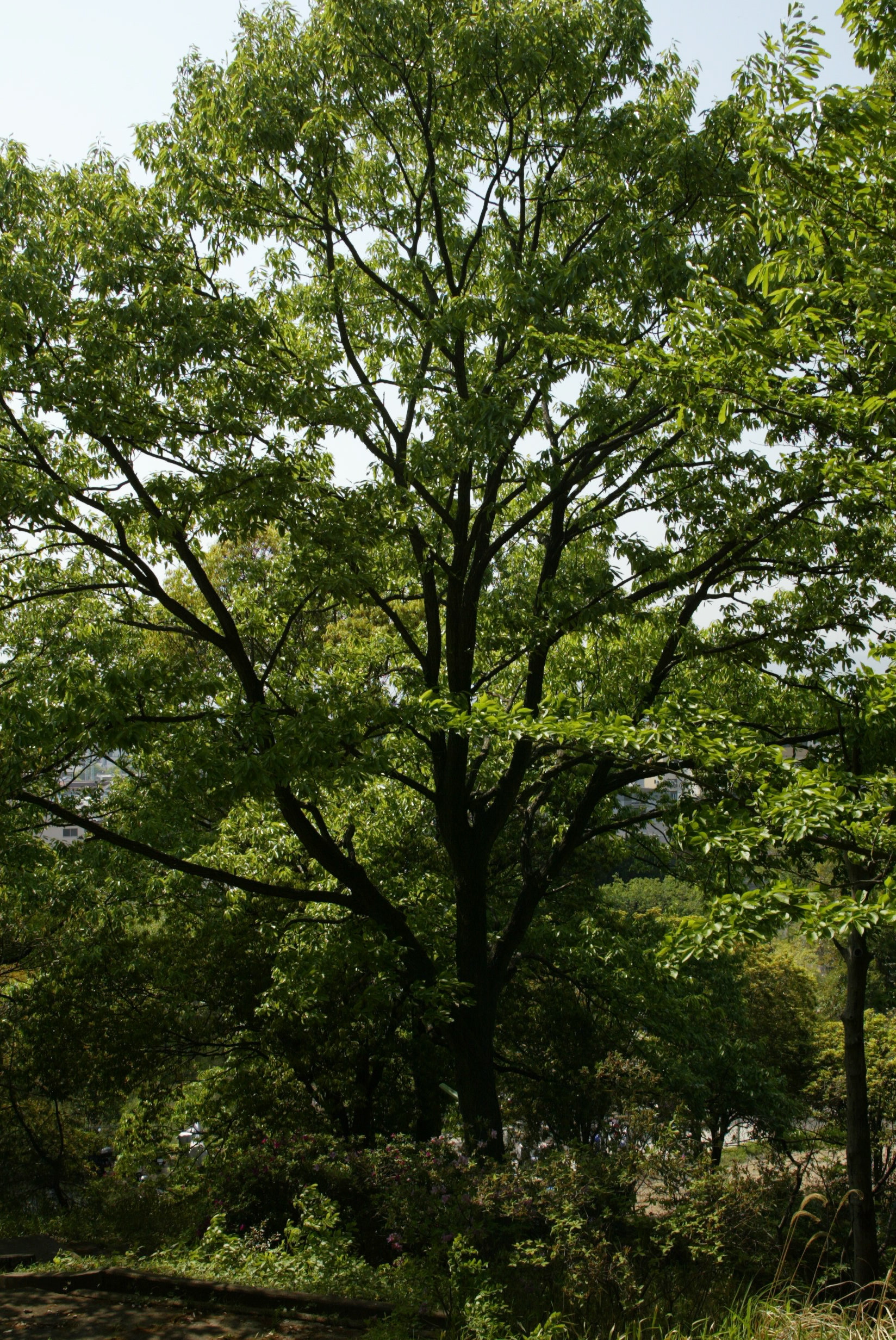 m 024