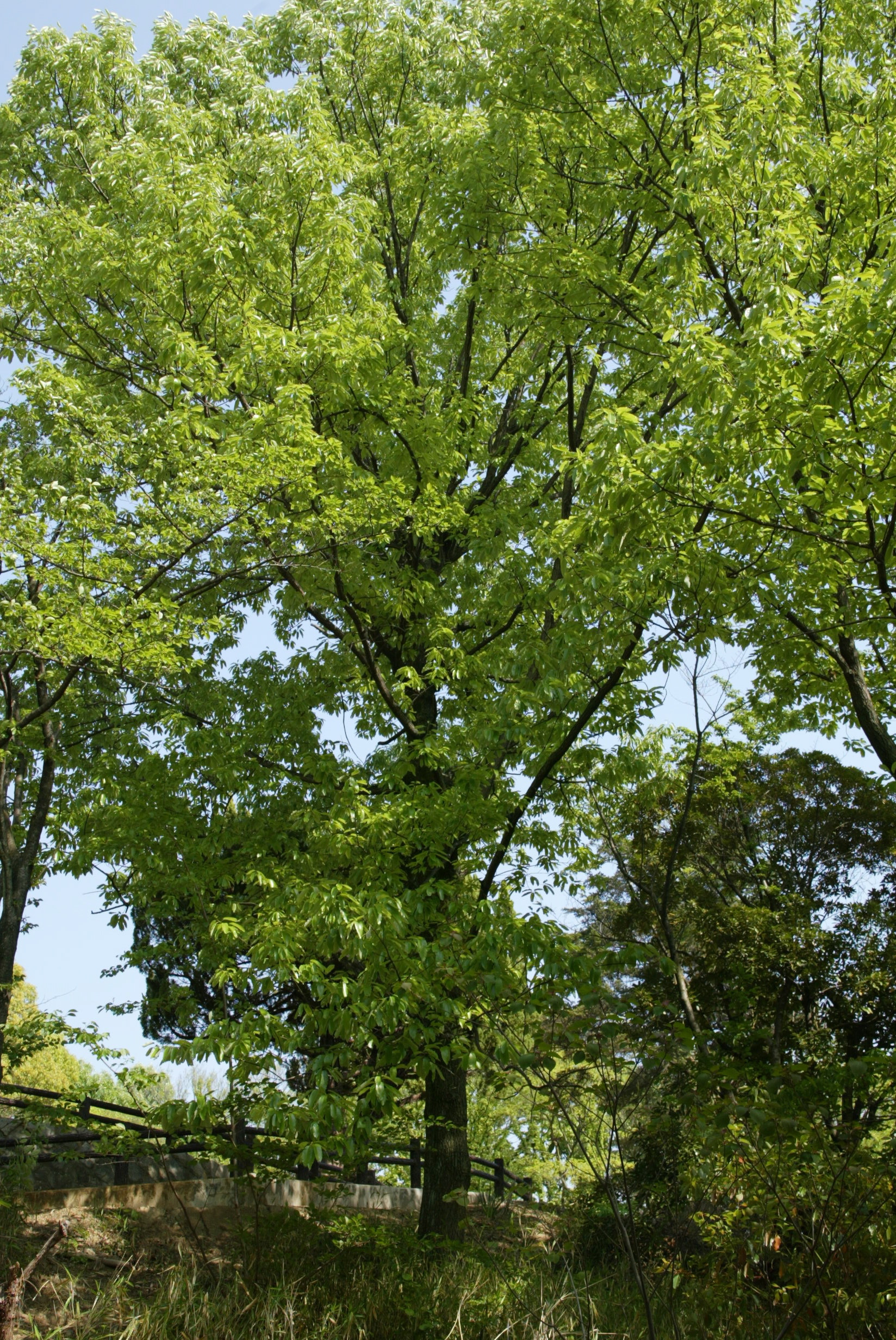 m 069