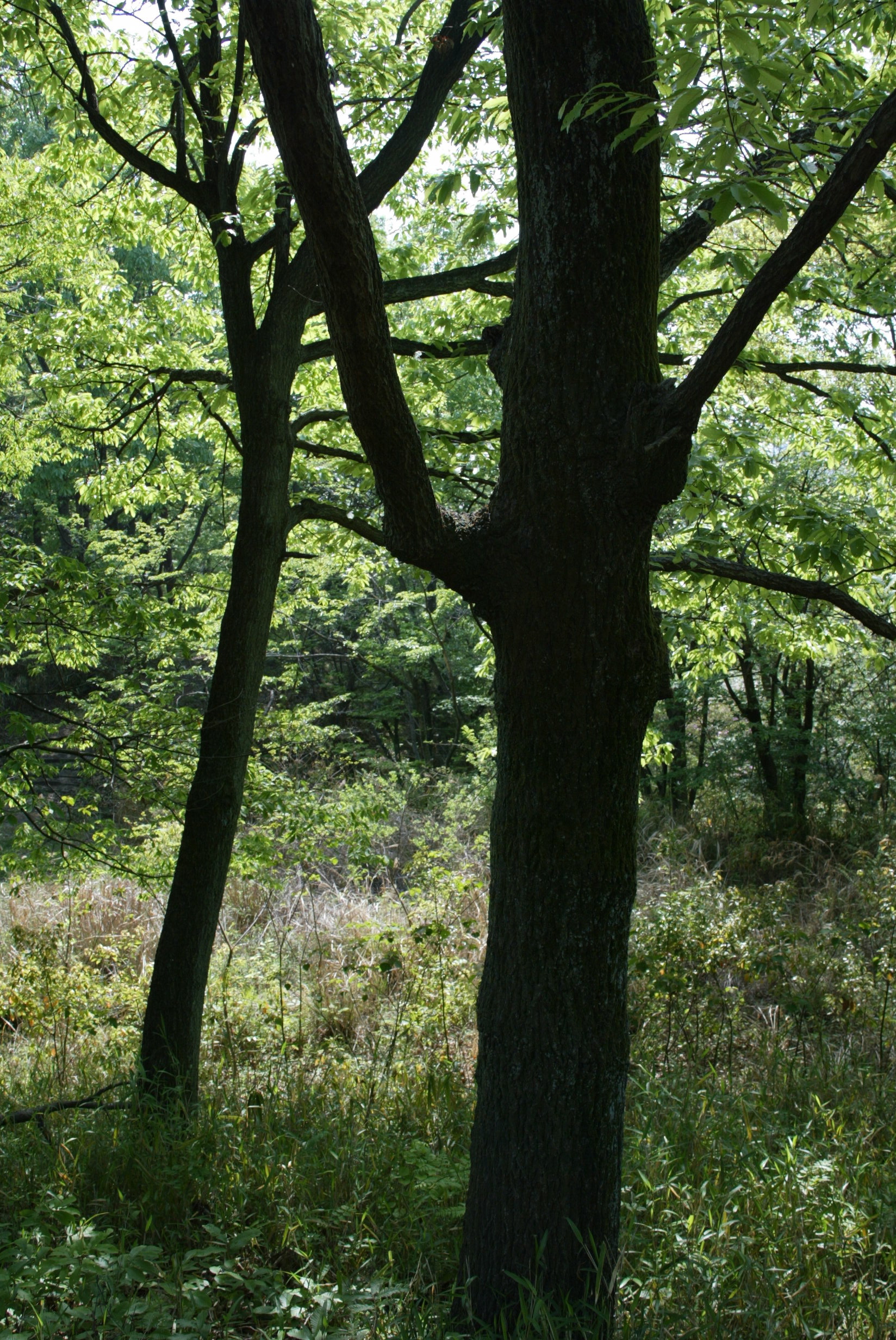 m 074