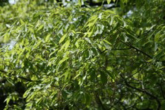 m 013