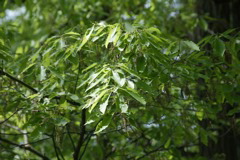 m 014