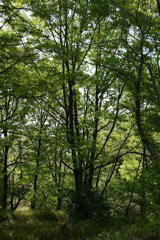m 015