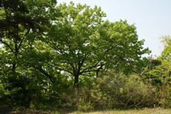 m 020