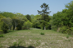 m 021