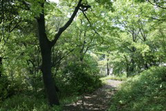 m 022