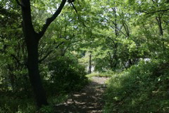 m 023