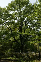 m 024