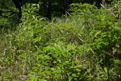 m 025