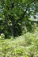 m 027
