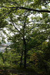 m 028