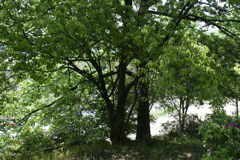 m 034