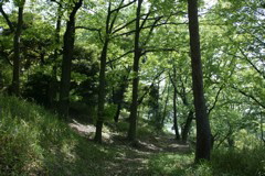m 040