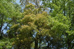 m 046