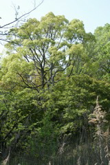 m 049