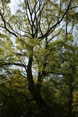m 050