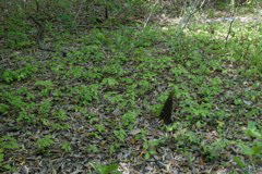 m 053