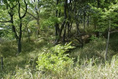 m 065