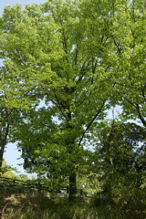 m 069