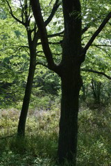 m 074