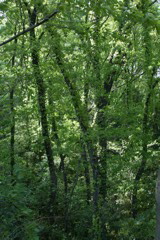 m 085