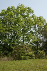 m 010
