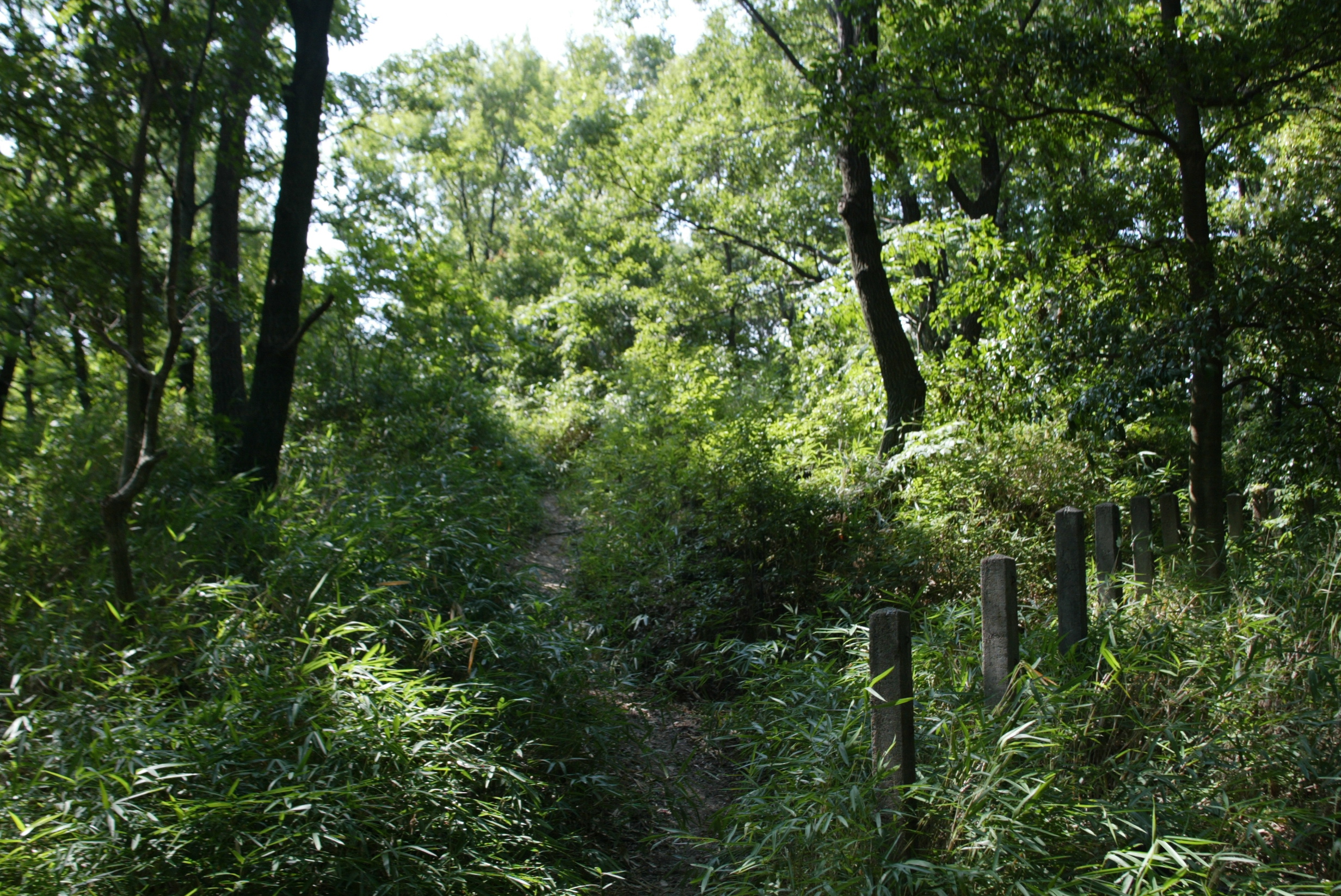 m 004