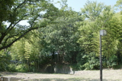 m 109