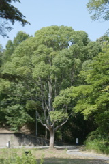 m 015