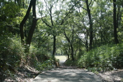 m 003