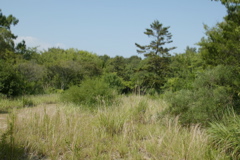 m 024
