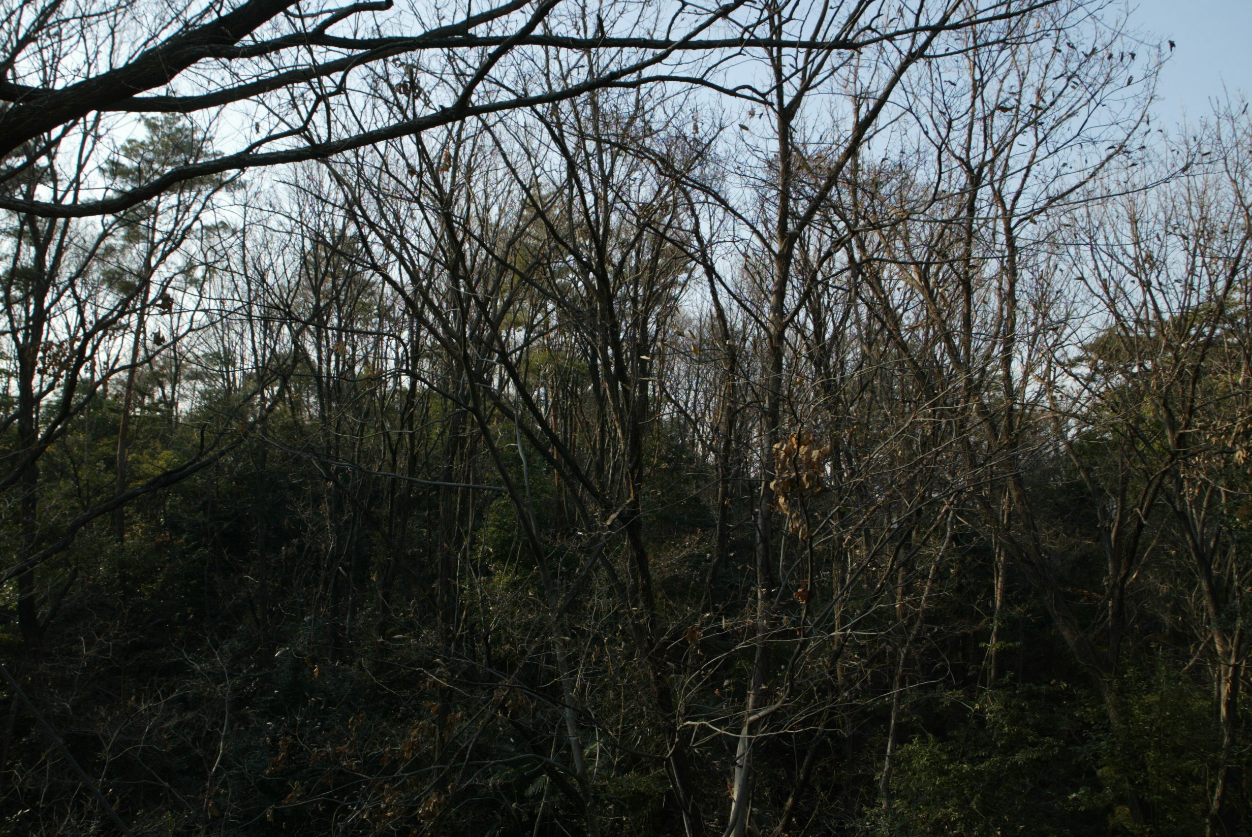 t 085