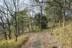 t 012