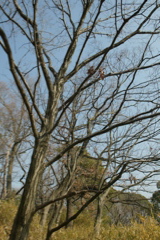 t 014