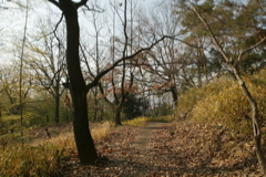 t 017