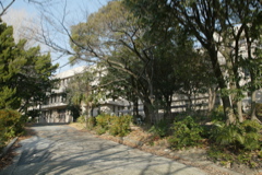t 039