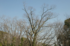 t 057