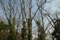 t 008