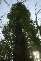 t 080