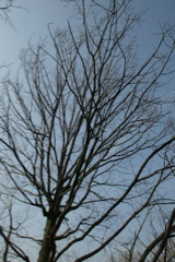 t 010