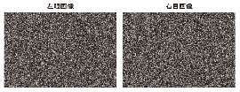 摜ƉE摜