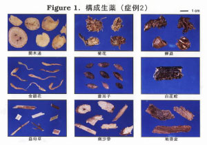 構成生薬