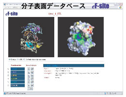 q\ʃf[^x[X